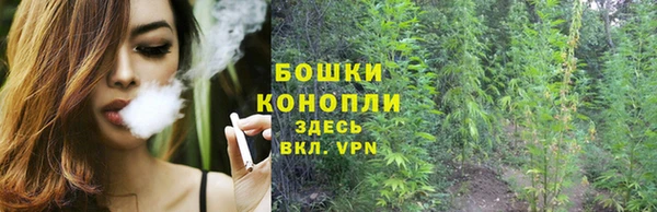 spice Дмитровск