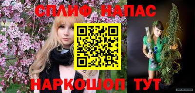 СК Краснодар