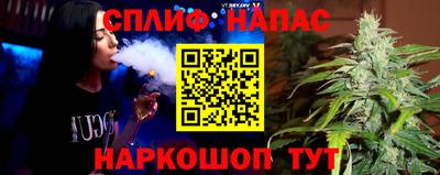 СК Краснодар