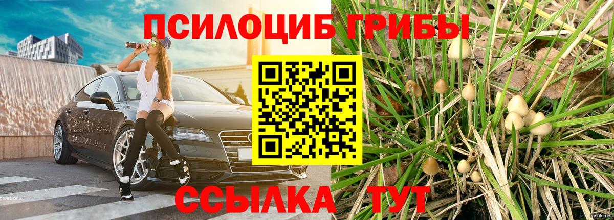 Псилоцибиновые грибы Cubensis Реж